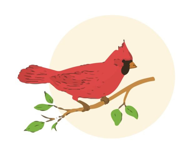 Cardinal