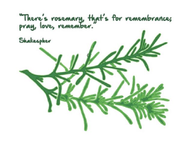 Rosemary